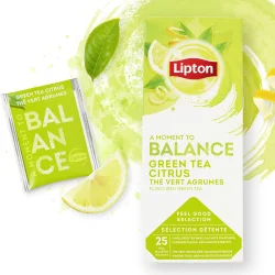 Lipton Green Tea with Citrus Fruit 6 Boxes, each box has 25 envelope tea bags