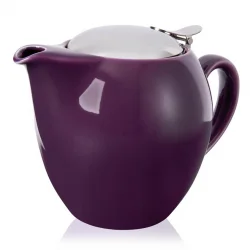 Porcelain Teapot with Stainless Steel Flip-top and Infuser(500g)