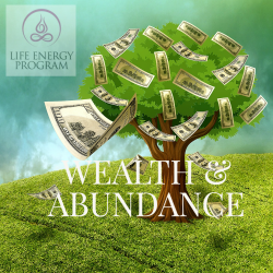 Wealth and Abundance from the Life Energy Program, Download the Audio Program and Q&A Guide