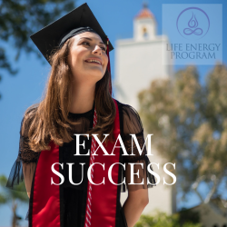 Exam Success for All Ages from the Life Energy Program, Download the Audio Program and Book